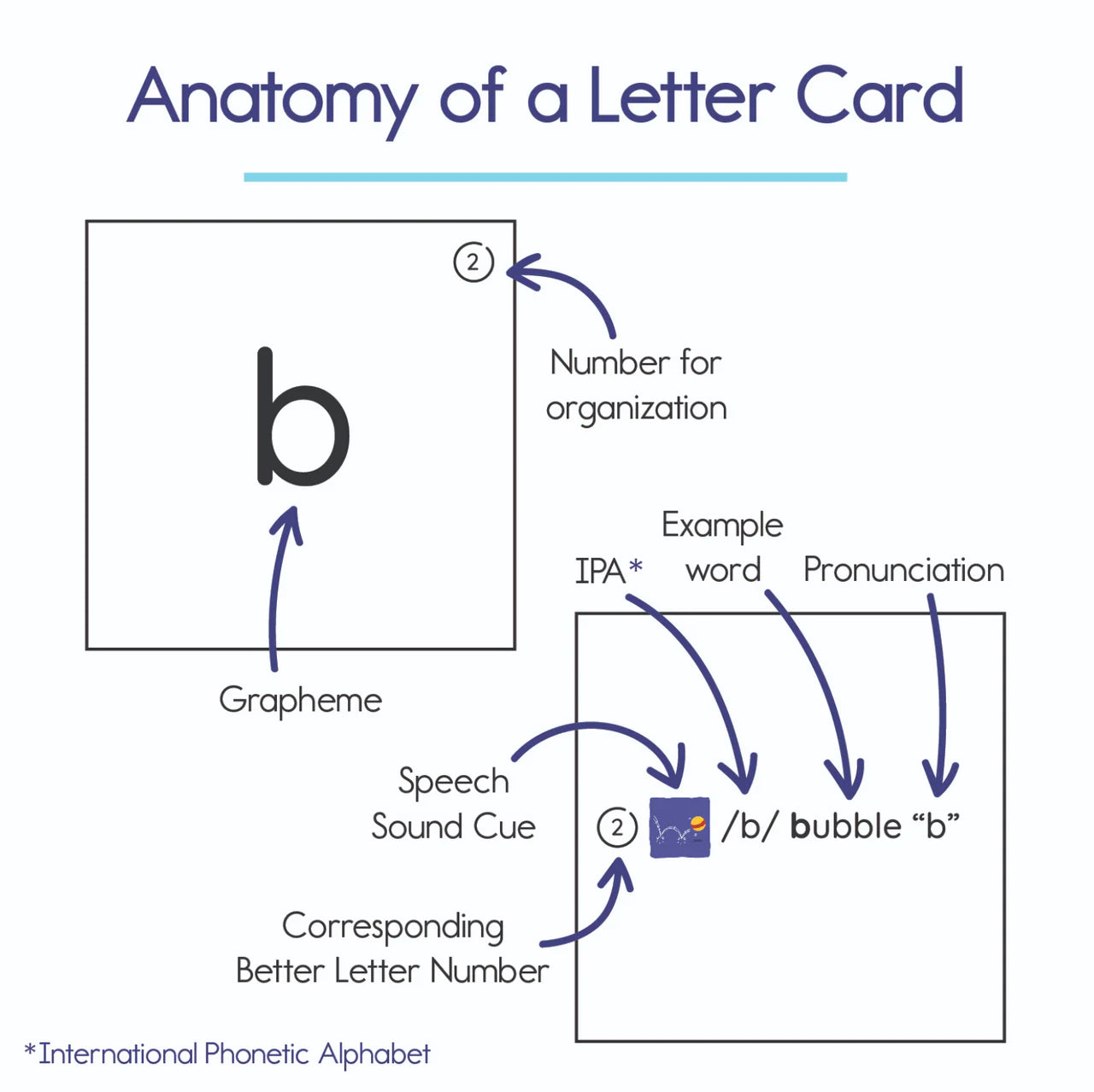Bjorem Better Letters: Educator Edition - Bridging the Phoneme-Grapheme Gap