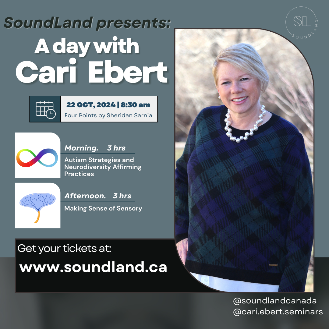 A Day with Cari Ebert - 6-hour professional seminar