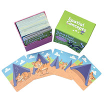 Bjorem   Speech®   Spatial   Concepts   Deck   –   Expanded   &   Redesigned   Edition   |   Teach   Location   Words   with   Story-Based   Visuals