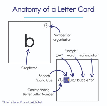 Bjorem Better Letters: Educator Edition - Bridging the Phoneme-Grapheme Gap